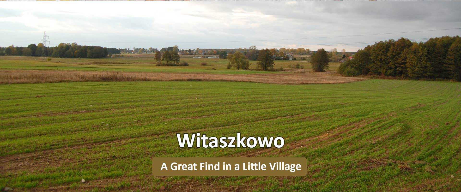 witaszkowo